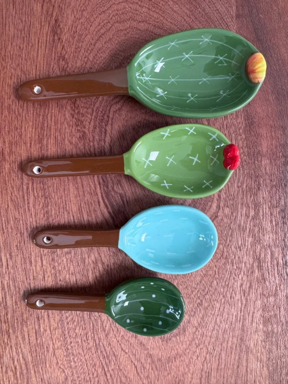 Cactus Measuring Spoons Set in Pot Ceramic